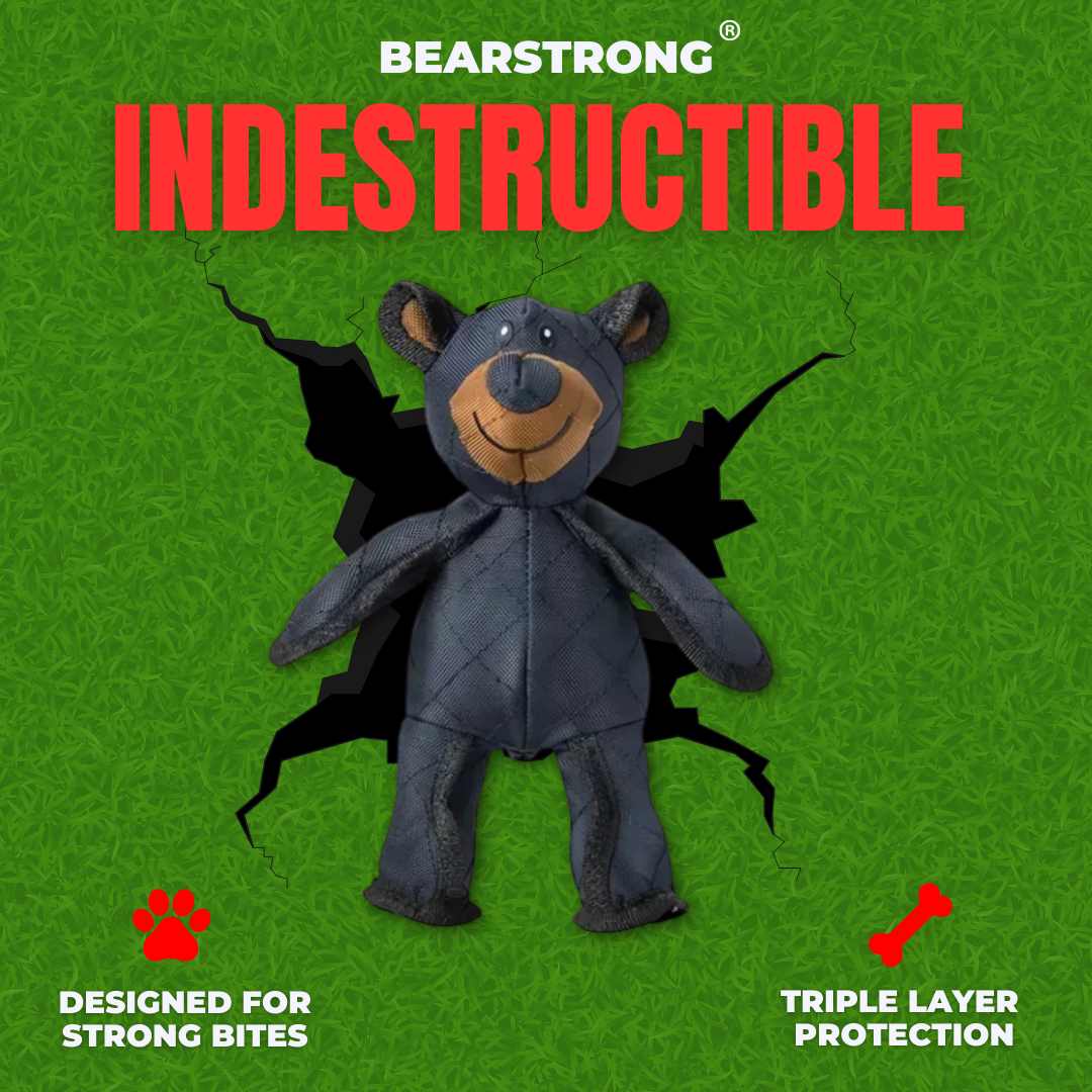 Indestructible Teddy Toy - Bearstrong