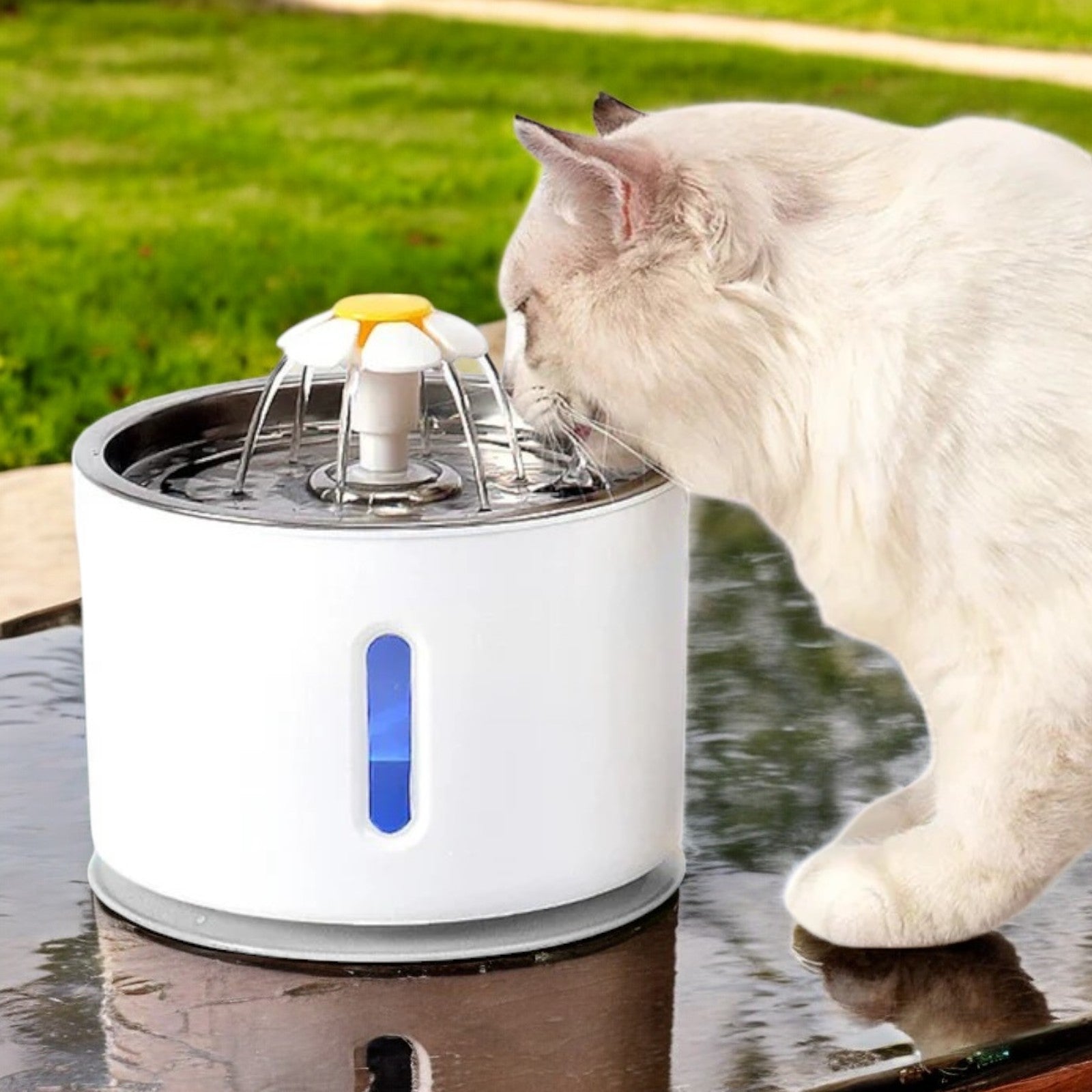 Water Fountain for Pets