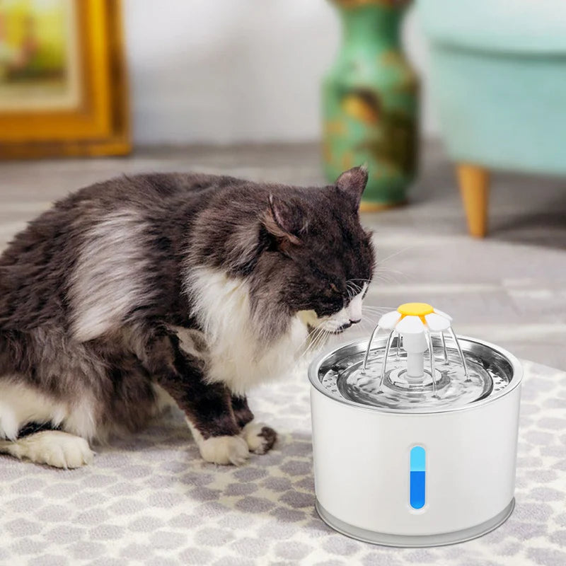 Water Fountain for Pets