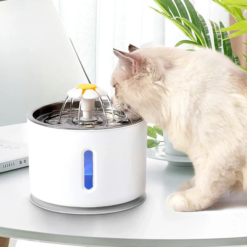 Water Fountain for Pets