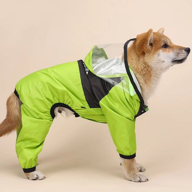 The Dog Face Raincoat