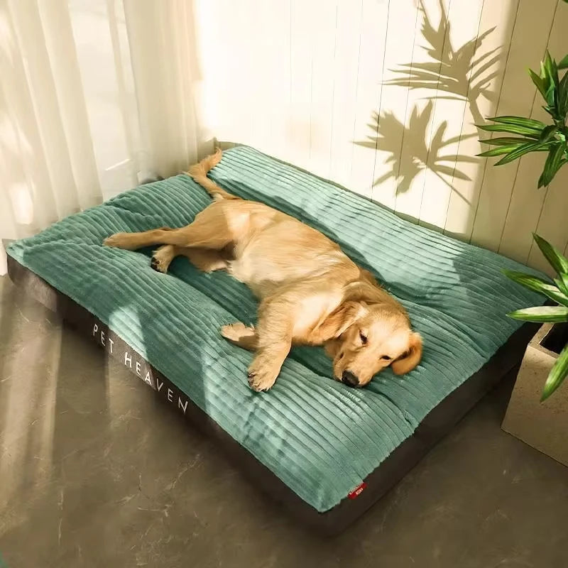 Memory Foam Orthopedic Dog Bed