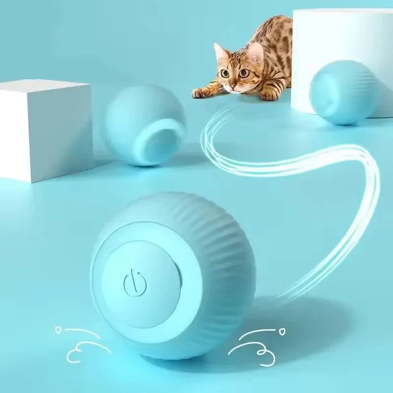 Interactive Ball for Pets - WiggleBall