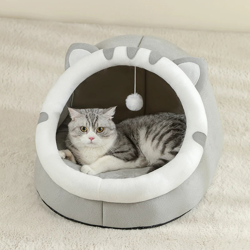 Cute bed for Cats