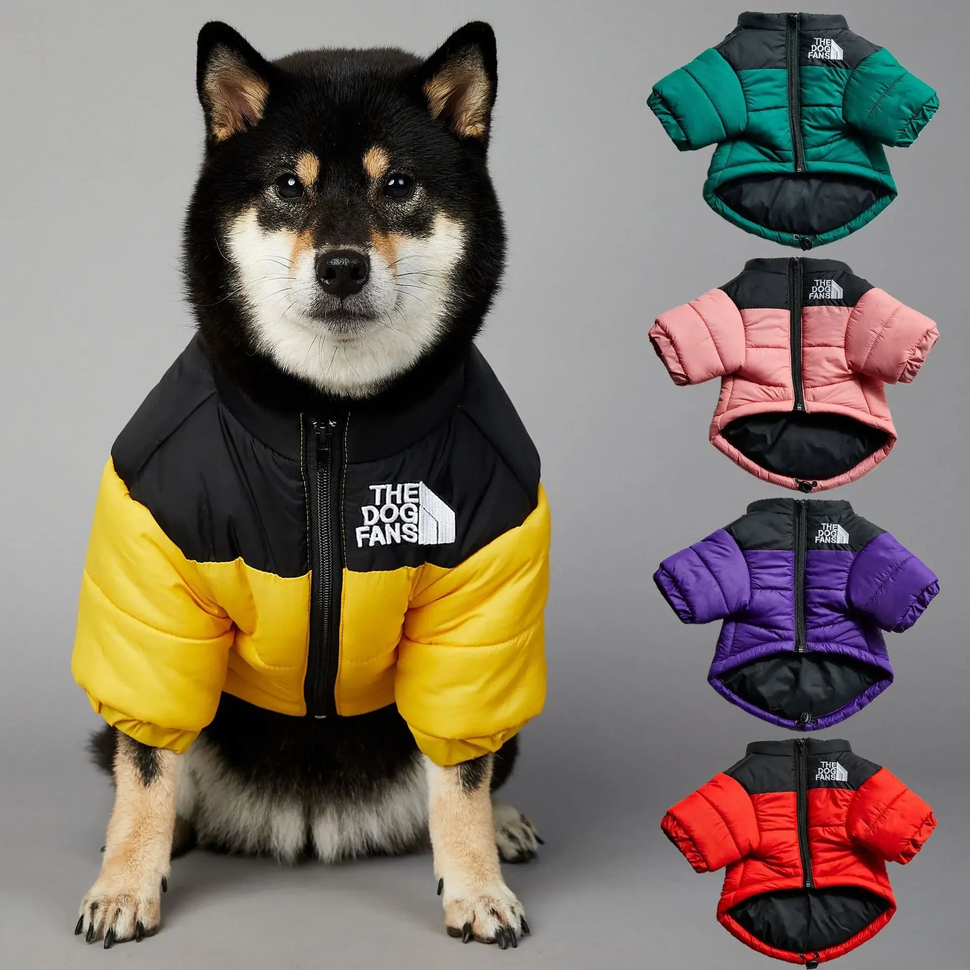 The Dog Face Jacket