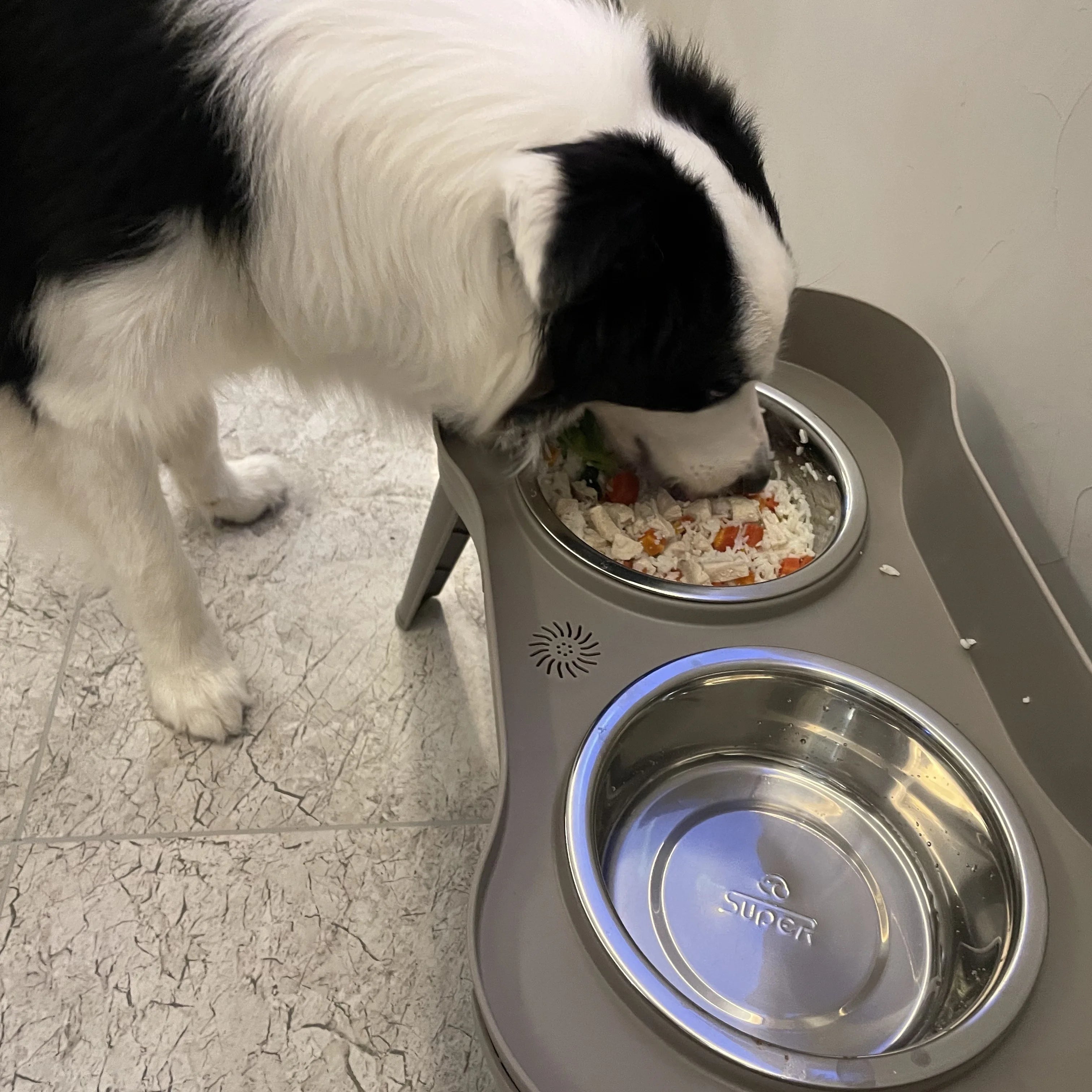 Elevated dog bowls