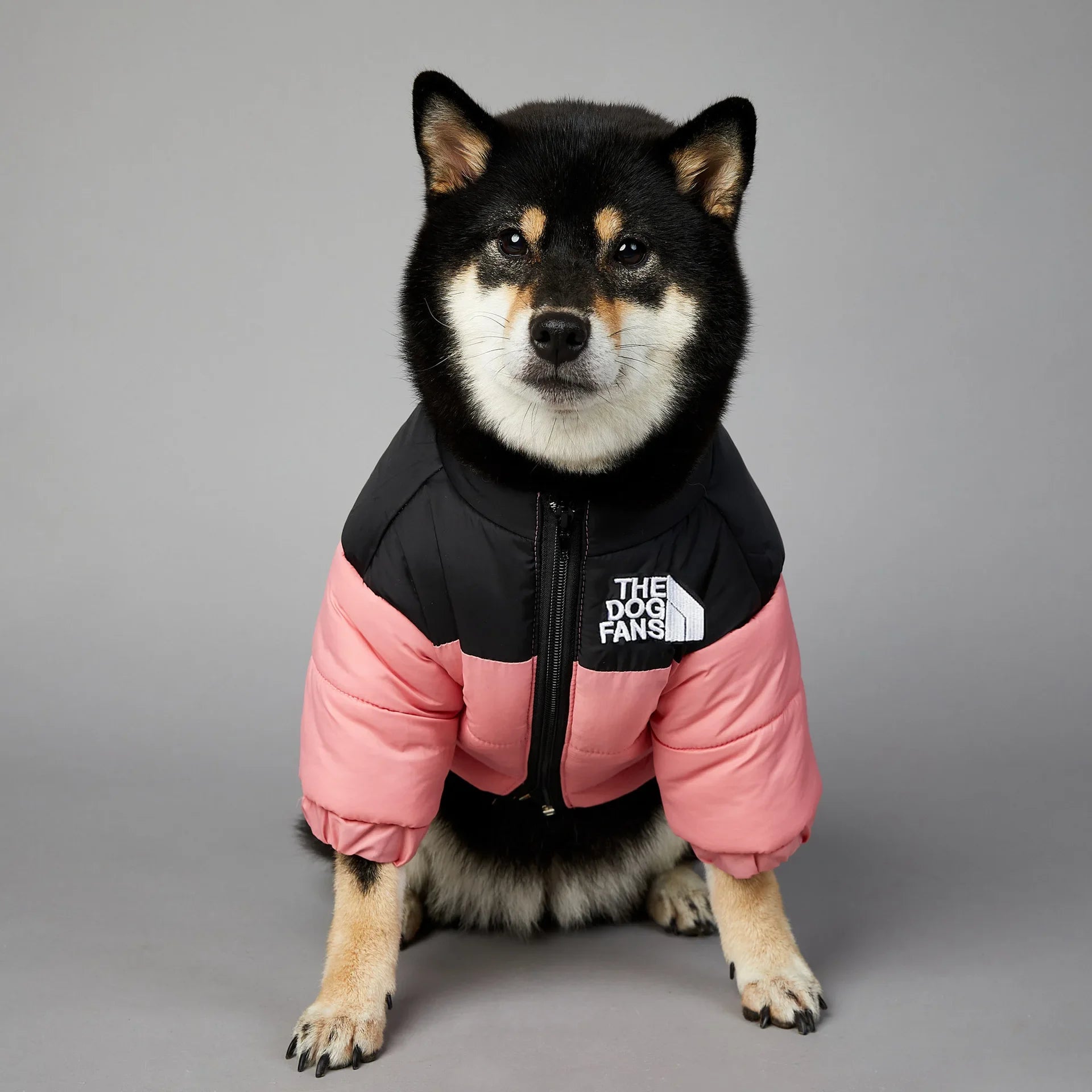 The Dog Face Jacket