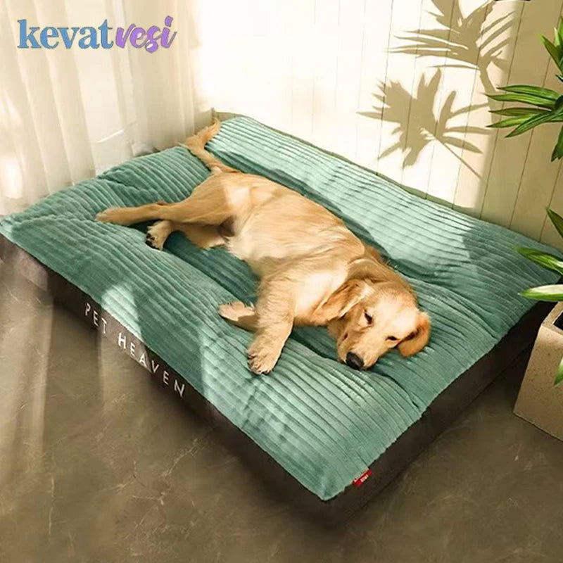 Memory Foam Orthopedic Dog Bed