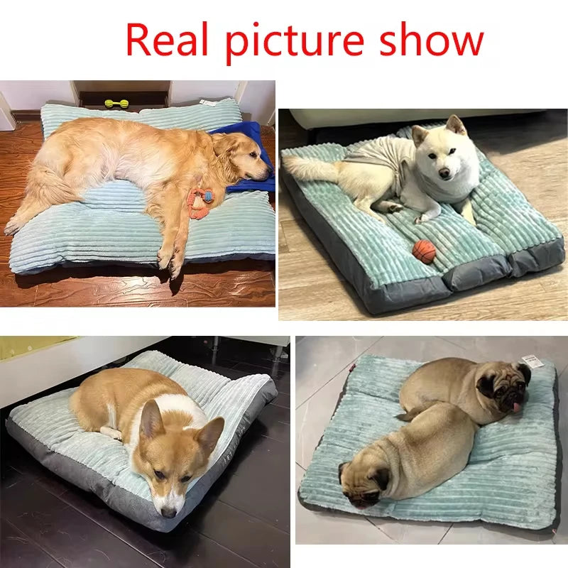 Memory Foam Orthopedic Dog Bed