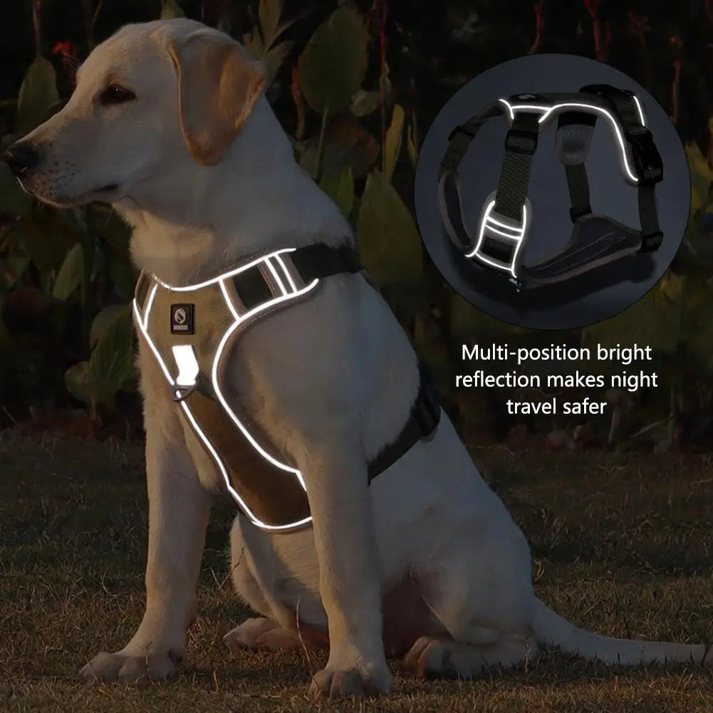 Labrador Collar Army Reflective Adjustable Harness