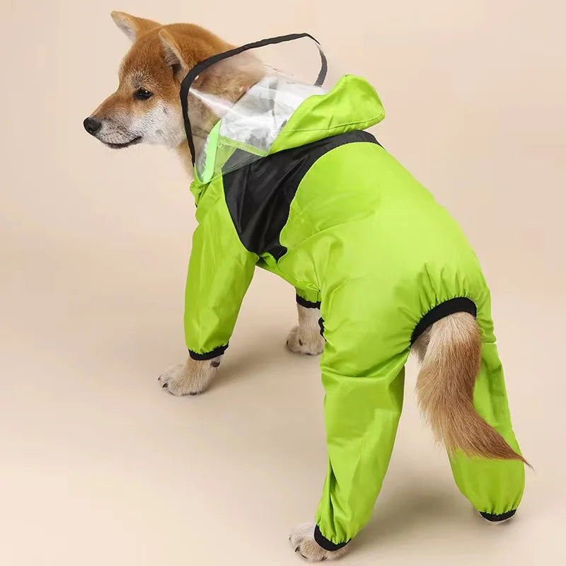 The Dog Face Raincoat