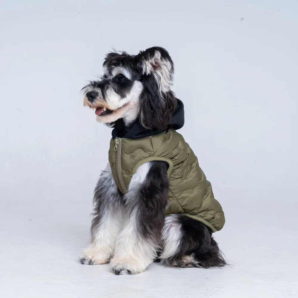 Puppy dog Jacket and Dog Vest