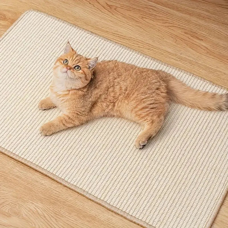 Natural Sisal Cat Scratcher