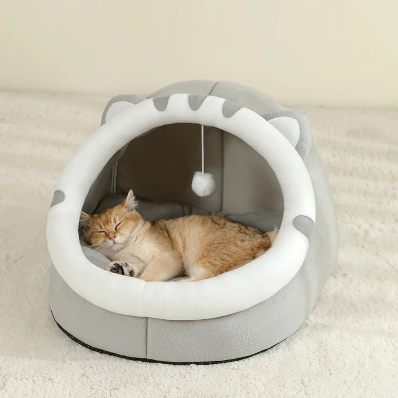 Cute bed for Cats