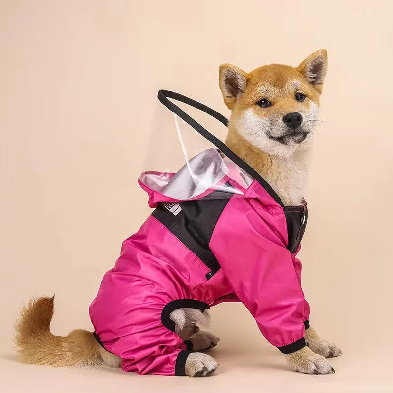 The Dog Face Raincoat