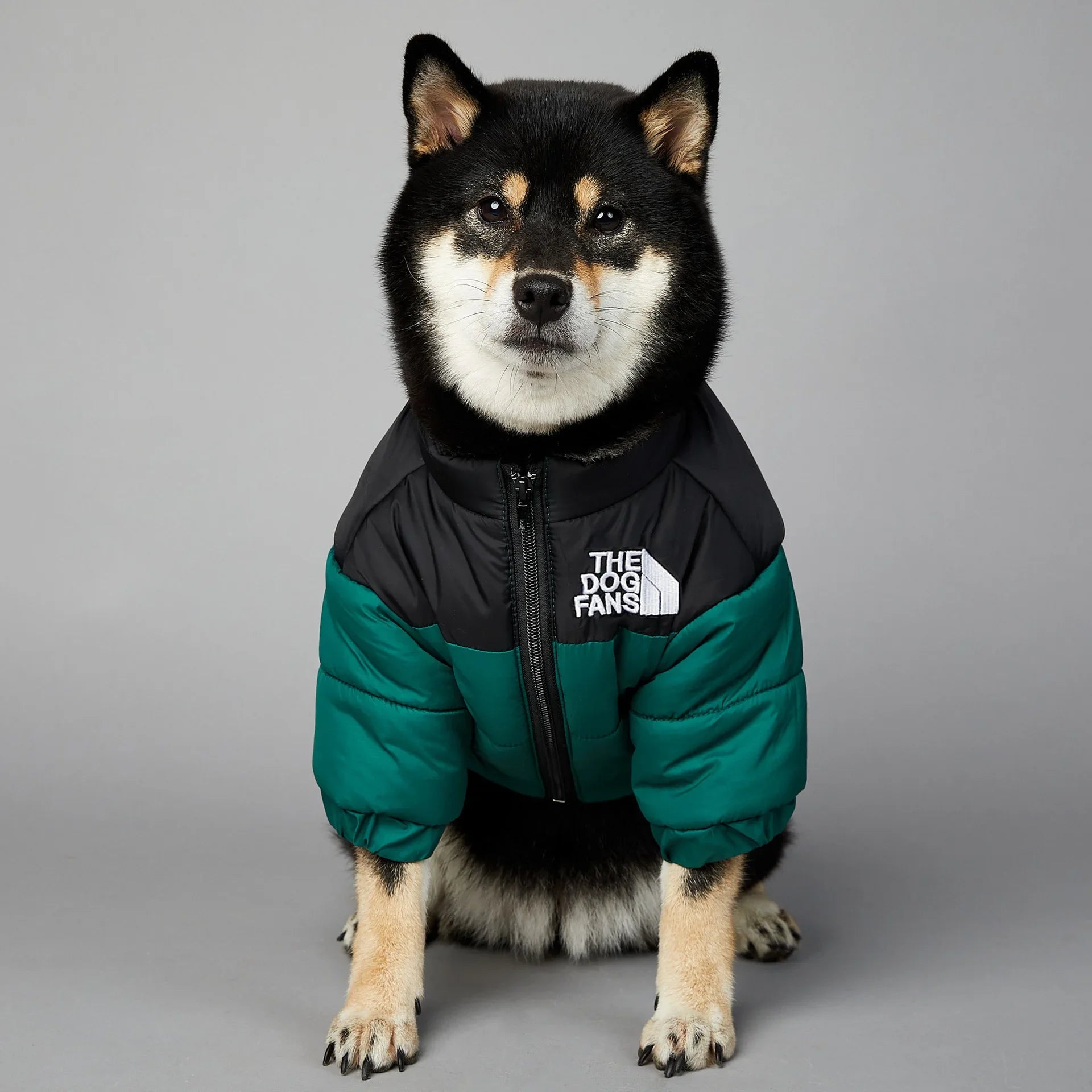 The Dog Face Jacket