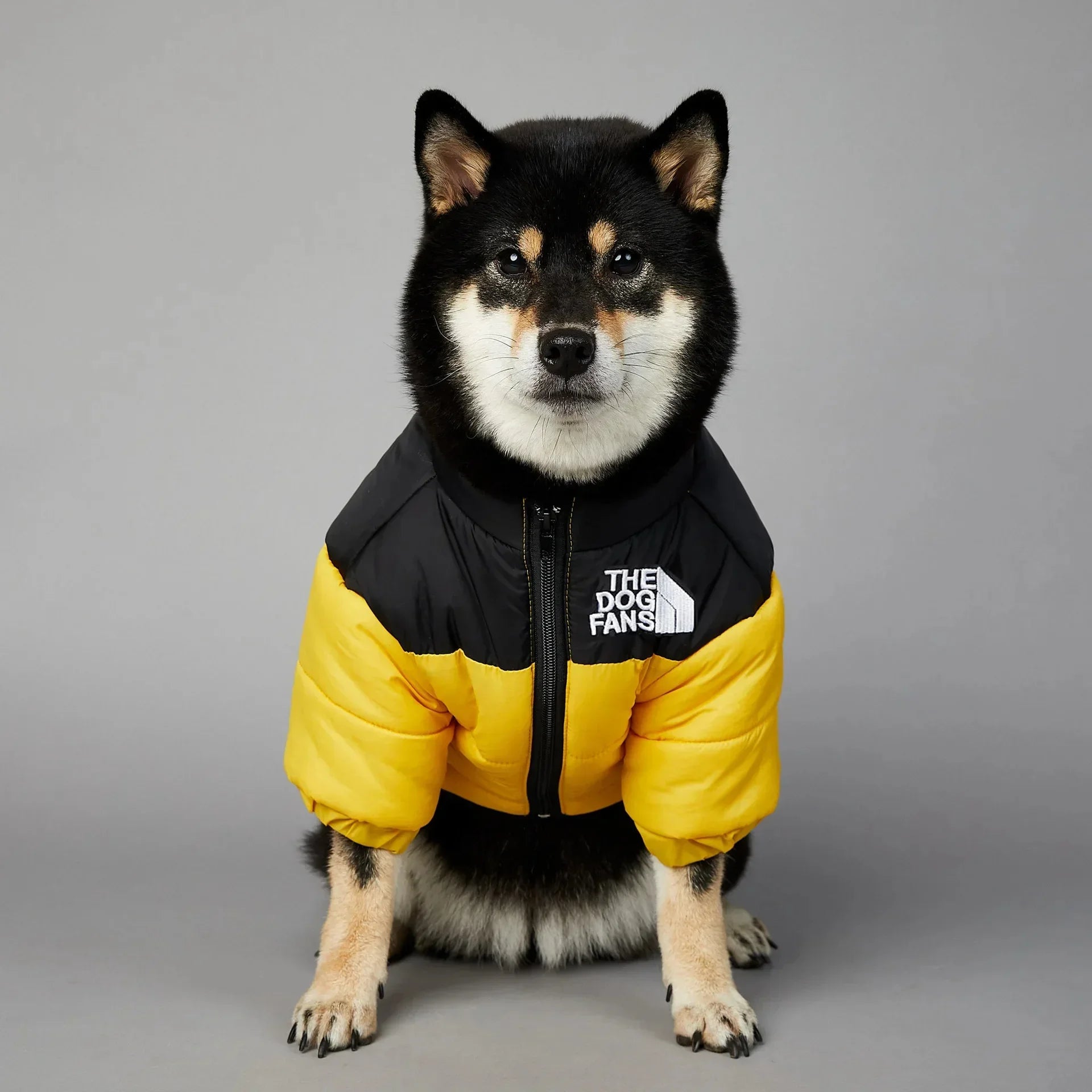 The Dog Face Jacket