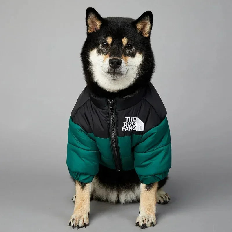 The Dog Face Jacket