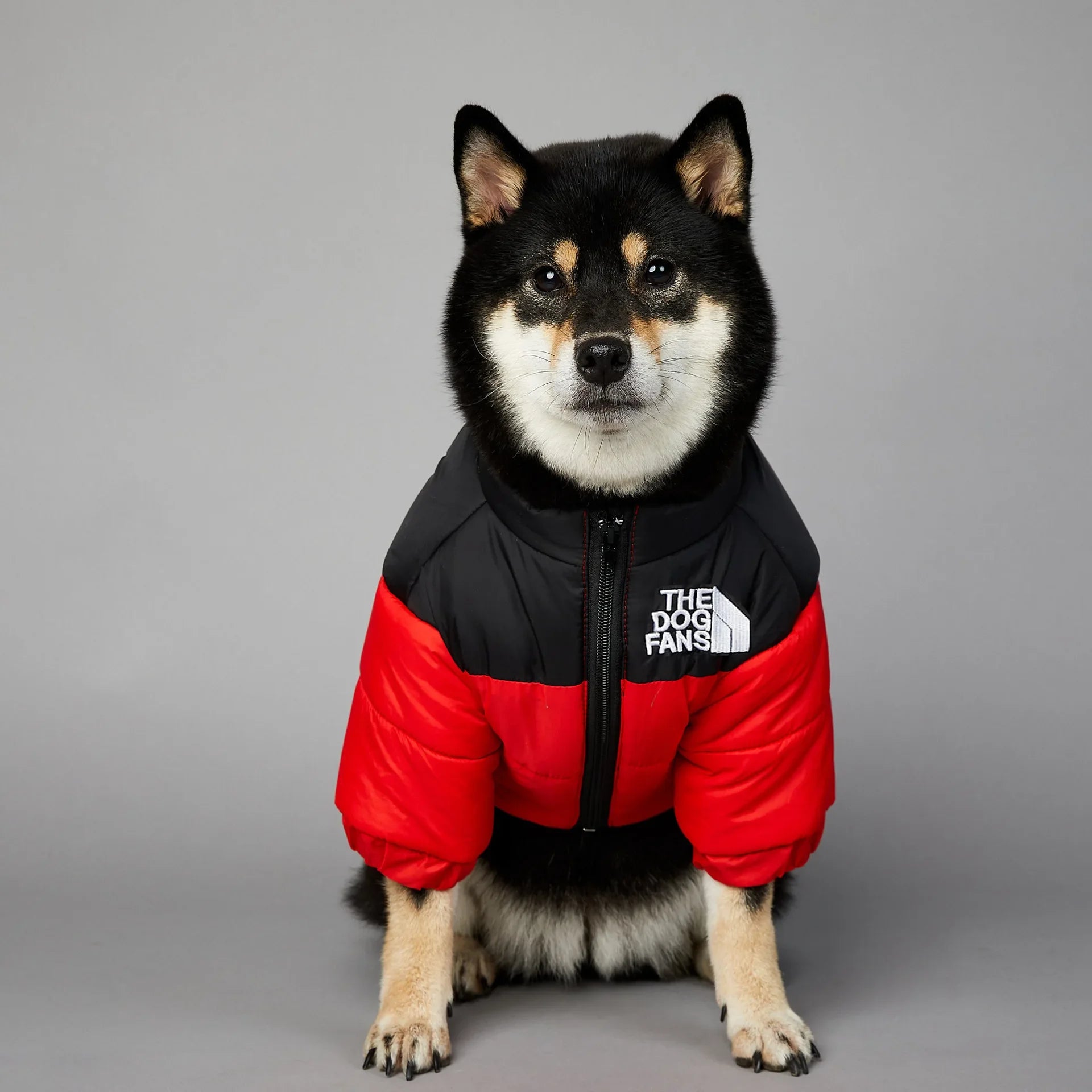 The Dog Face Jacket