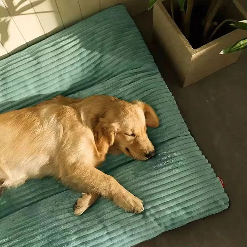 Memory Foam Orthopedic Dog Bed